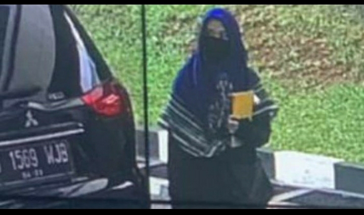 Pelaku peneror