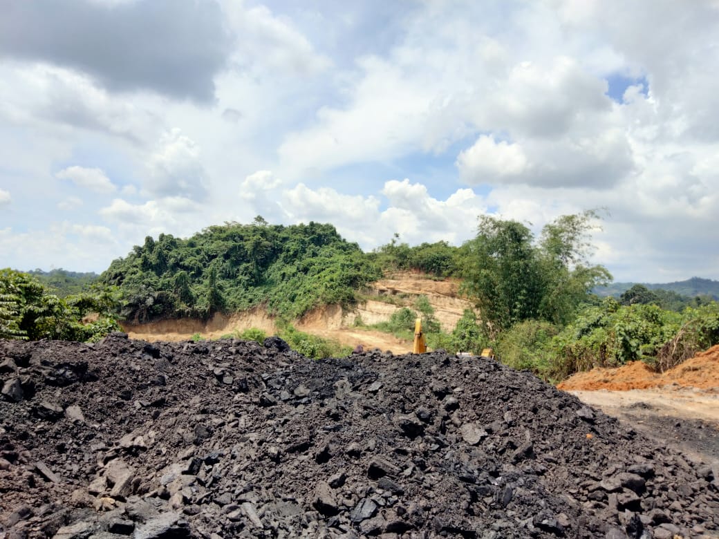 Tampak gundukan emas hitam dan alat berat Eksavator yang sedang bekerja di lahan seluas empat hektar tersebut.