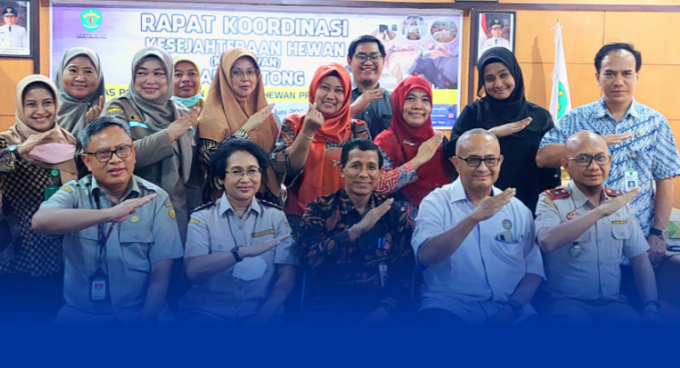 SINERGI: DPKH Kaltim terus menyamakan kepentingan untuk menjaga stabilitasi Kesehatan dan ketersediaan hewan potong di Kaltim.