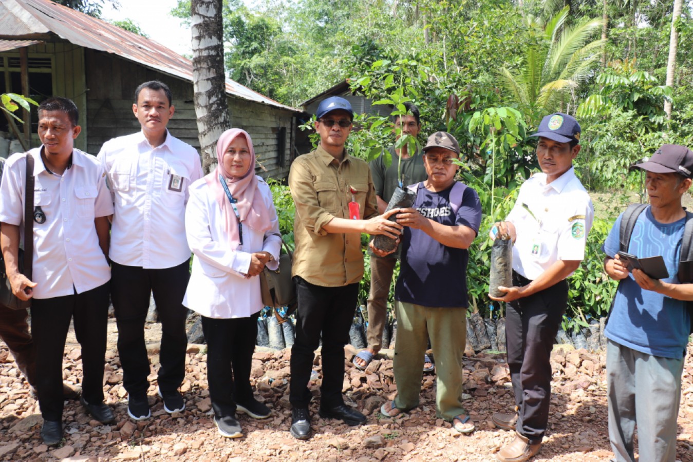 MISI BESAR: Kepala Dinas Perkebunan Kaltim Ahmad Muzakkir (kemeja cokelat) memberi bibit karet kepada Poktan Tunas Harapan Desa Handil Terusan, Anggana, Kutai Kartanegara.