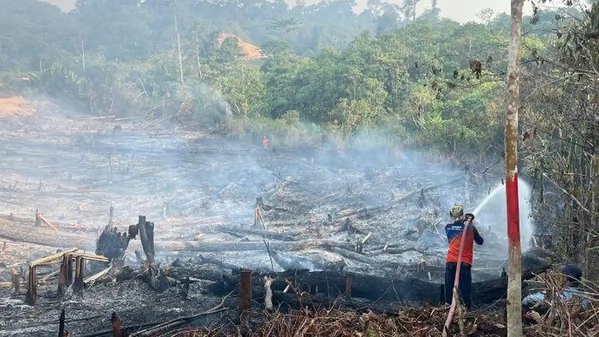 Pembakaran lahan oleh warga di Mahakam Ulu untuk persiapan membuka ladang padi. Cuaca panas ekstrem meningkatkan risiko karhutla di Mahakam Ulu saat warga mulai membuka dan membakar ladang.   Artikel ini telah tayang di TribunKaltim.co dengan judul Musim Buka Ladang di Mahakam Ulu, BPBD Ingatkan Risiko Kebakaran Hutan